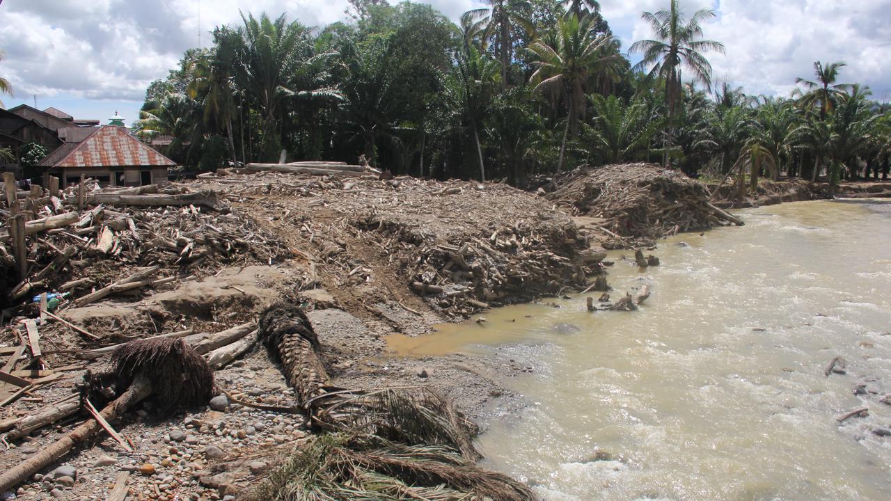Ketika Hutan Tak Lagi Menahan Air: Menilik Jejak Deforestasi di Balik Cuaca Ekstrem Sumatra Utara