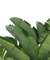 Ilustrasi Daun Pisang (Photo: Pexels/Jannet Serhan)