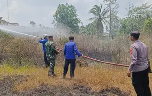Kebakaran Lahan di Lampung Selatan, Api Dipicu Angin Kencang