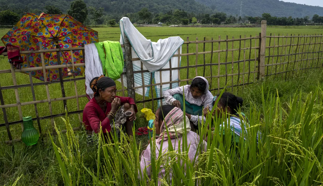 Wanita suku Karbi beristirahat dari memanen padi di ladang di pinggiran Gauhati, India, Senin (23/5/2022). Suku Karbi adalah salah satu komunitas etnis utama di India Timur Laut yang sebagian besar terkonsentrasi di distrik perbukitan Karbi Anglong di Assam. (AP Photo/Anupam Nath)