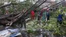 Petugas mengevakuasi pohon tumbang yang menghalangi jalan raya di pertigaan Jalan Curug Agung, Kecamatan Beji, Kota Depok, Jawa Barat pada Rabu (25/6/2025). (merdeka.com/Arie Basuki)