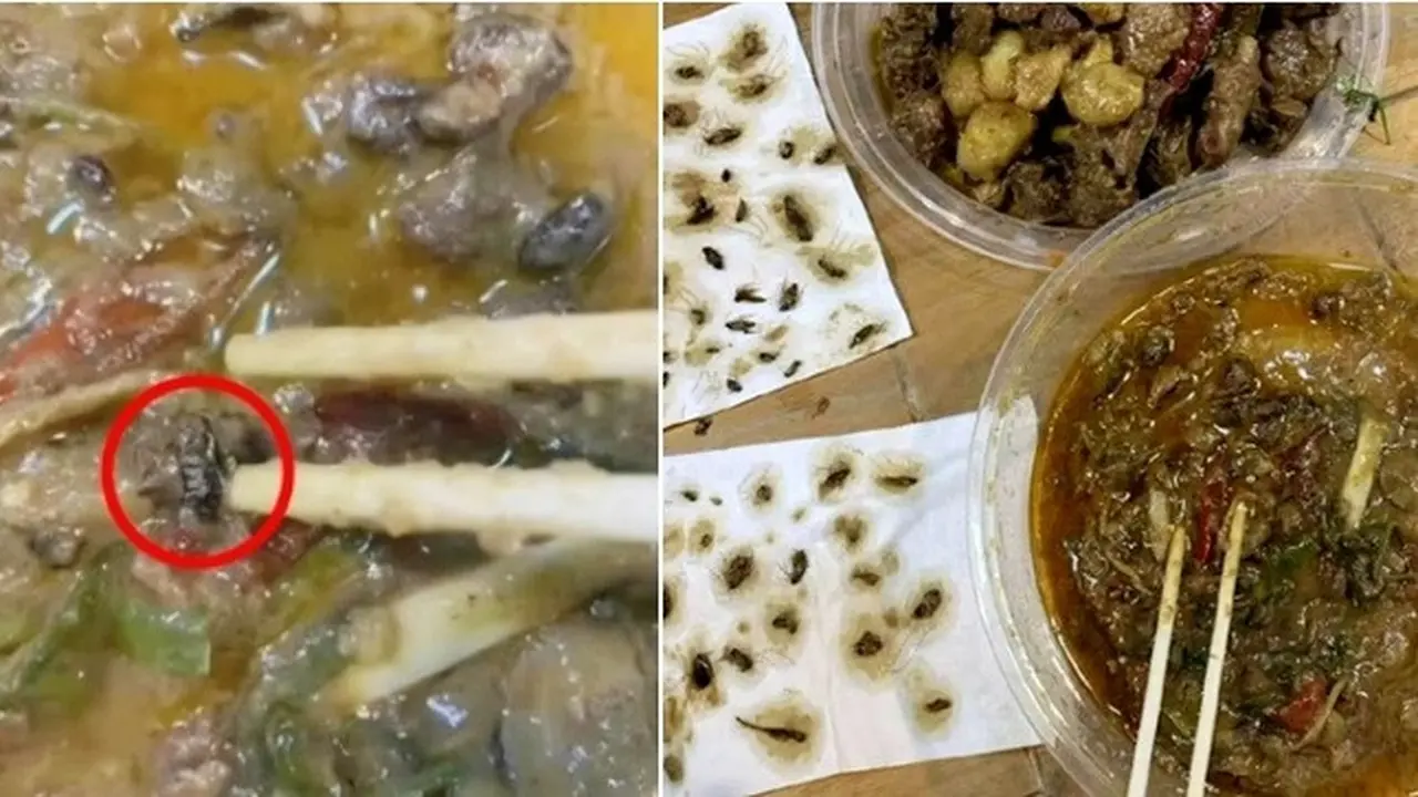 kecoak di dalam makanan (foto: Oriental Daily)