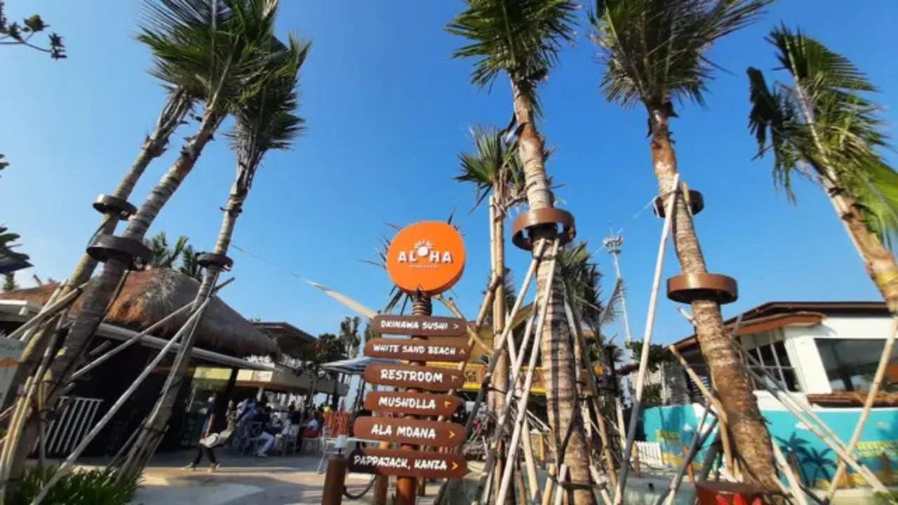 PANI Tebar Dividen Rp90,59 Miliar, Naik Tiga Tahun Berturut-turut