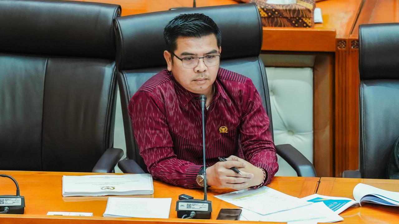 Politisi PDIP Tak Setuju Pembangunan Bandara di Bali Utara, Khawatir Makin Banyak Turis Pembuat Onar