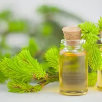 Tea Tree Oil (iStockphoto)