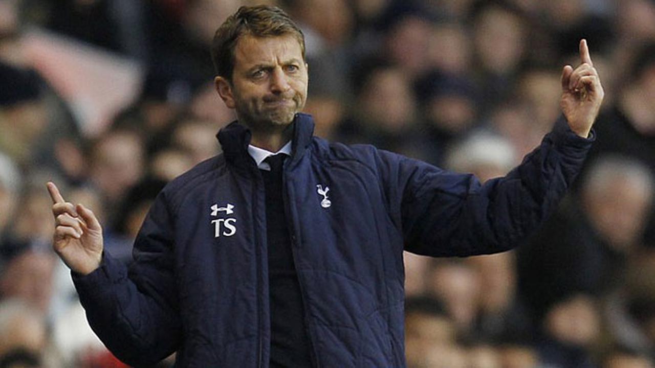 tim-sherwood-140210a.jpg