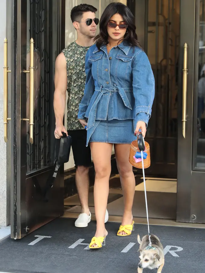 [Fimela] Priyanka Chopra dan Nick Jonas