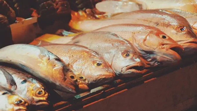 Foto: copyright pixabay.com