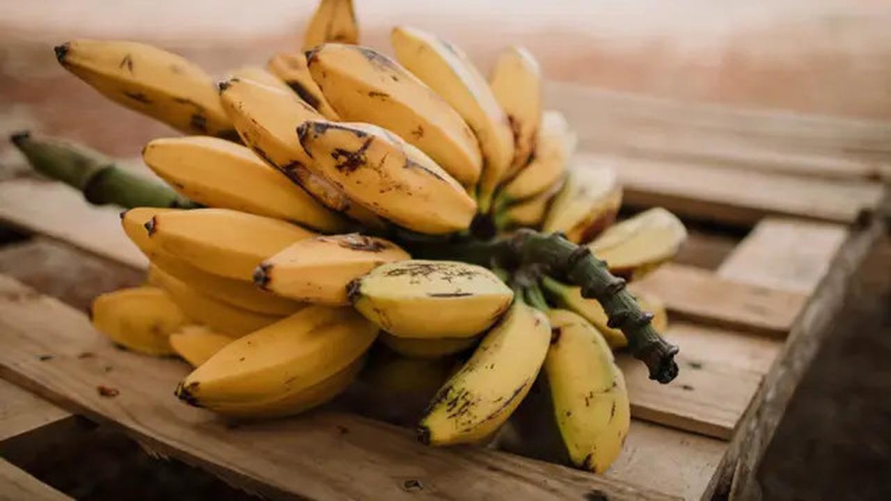 Sering Dianggap Sehat, Minum Jus Buah Ternyata Bisa Picu Gula Darah Naik