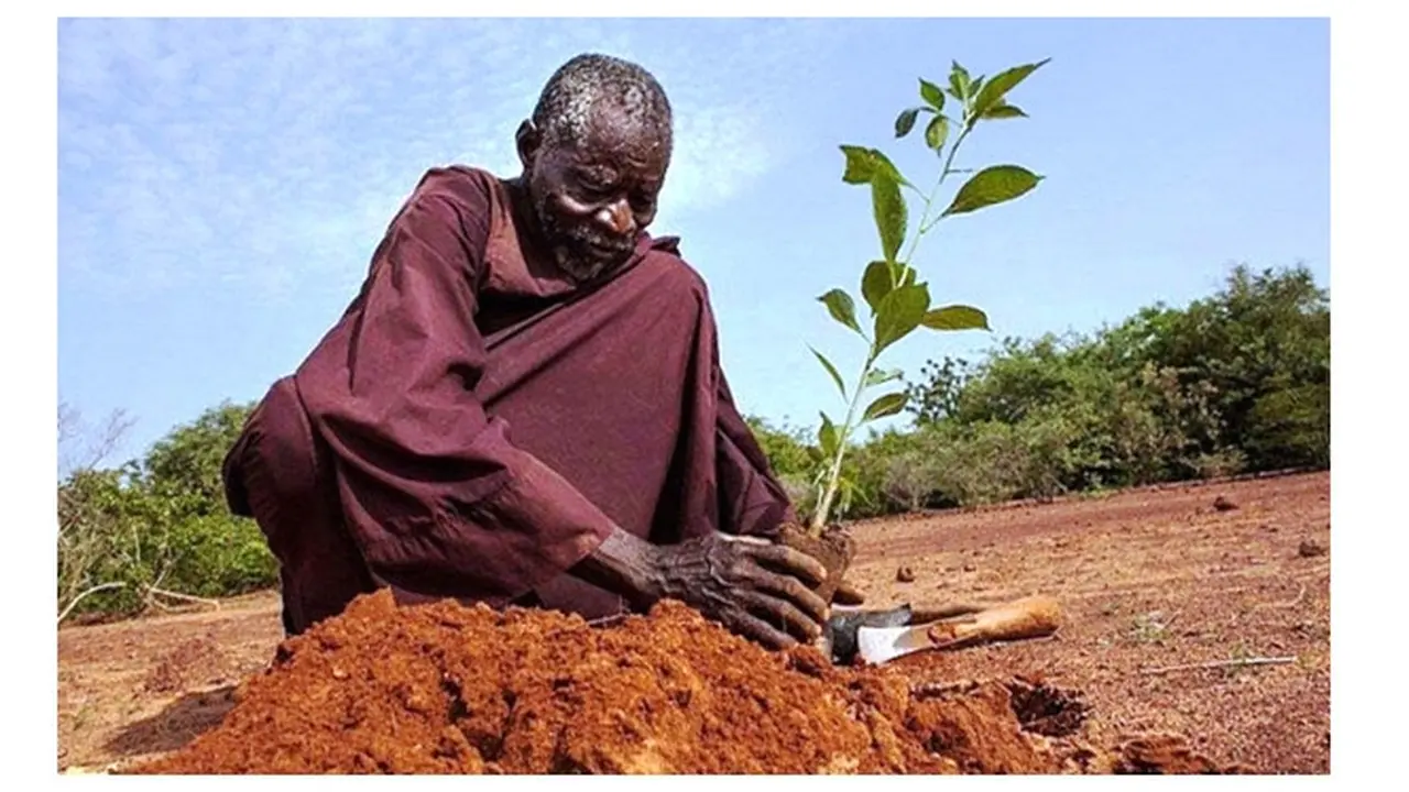 Yacouba Sawadogo