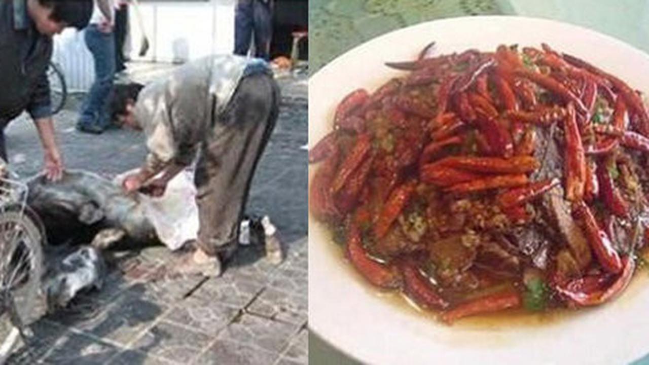 Ini 6 kuliner ekstrem China yang bikin hati miris