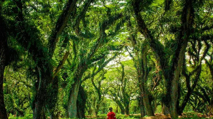[Bintang] Jawa Timur