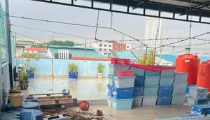Sadis, Pembantu di Batam Habisi Nyawa Majikan