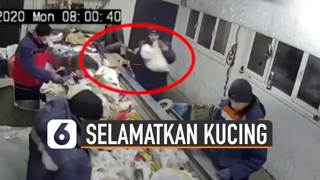 VIDEO: Petugas Selamatkan Anak Kucing dari Tumpukan Sampah