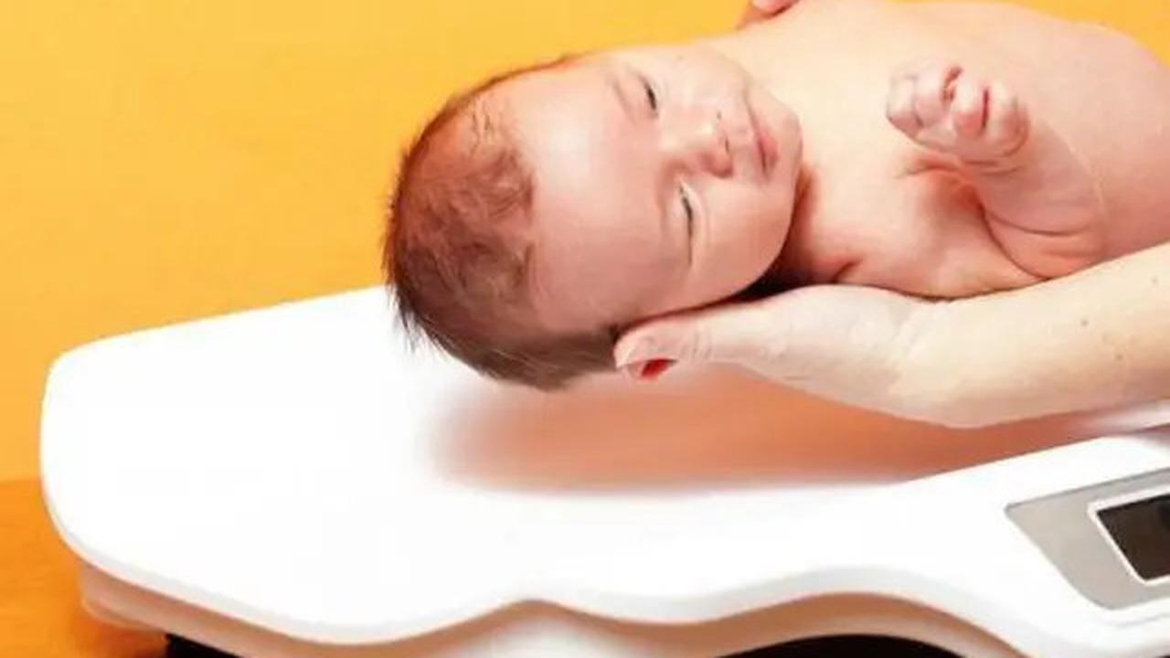 Tanda-Tanda Anak Cerdas Sejak Lahir hingga Usia 5 Tahun, Apa Saja Indikatornya?
