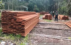 Patroli Udara Bongkar Pembalakan Liar di Riau, 6 Orang Ditangkap