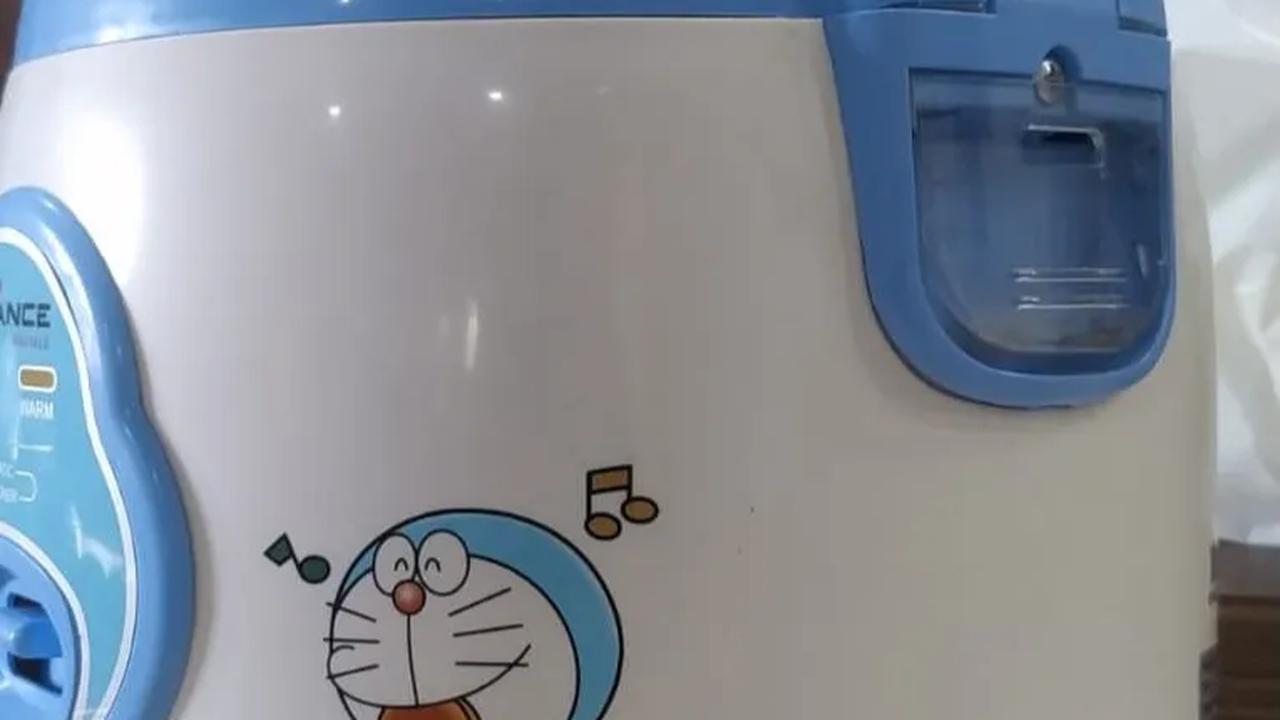 "Program pembagian rice cooker tidak efektif sama sekali dalam menggantikan LPG 3 Kg," jelasnya.