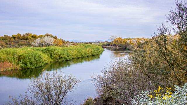 Yuma, Arizona