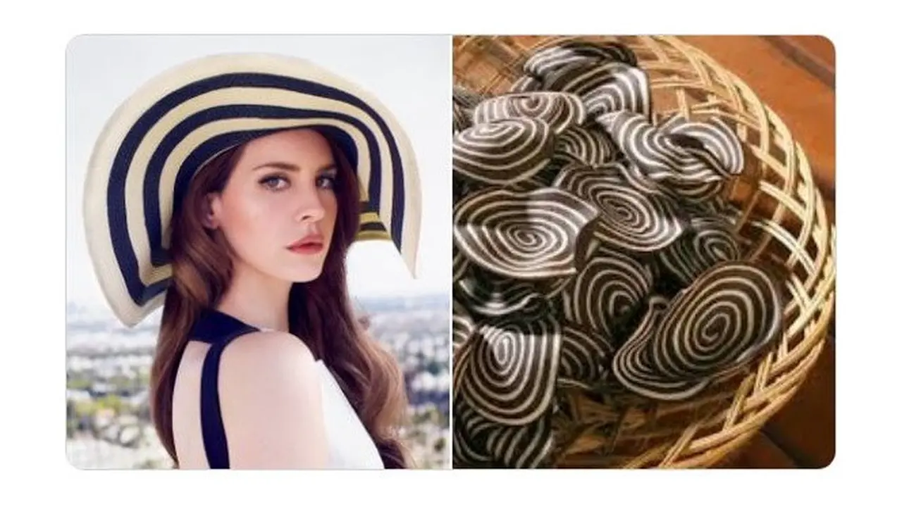 Cocoklogi Gaya Busana Lana Del Rey dengan Makanan Pasar ini Bikin Cengar Cengir