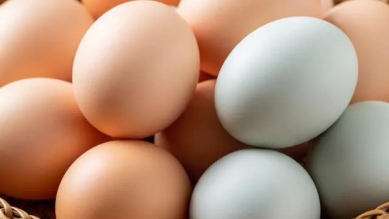 Telur Mentah atau Matang, Mana yang Memiliki Kadar Gizi Tinggi? Ini Penjelasan Ilmiahnya