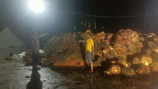 Modus Motor Curi 1,6 Ton Sawit di Lampung: Pelaku Tertangkap & Dihajar Massa