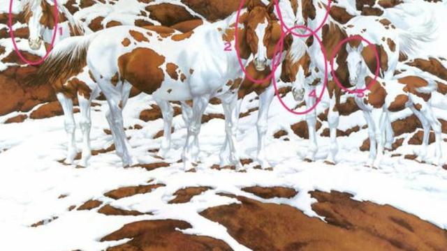 tebak ada berapa kuda