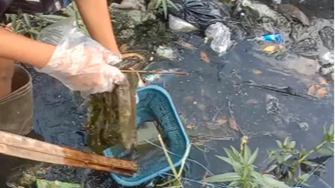 Para Bocah Kompak Bersihkan Selokan di Tepi Jalanan, Aksinya Banjir Pujian