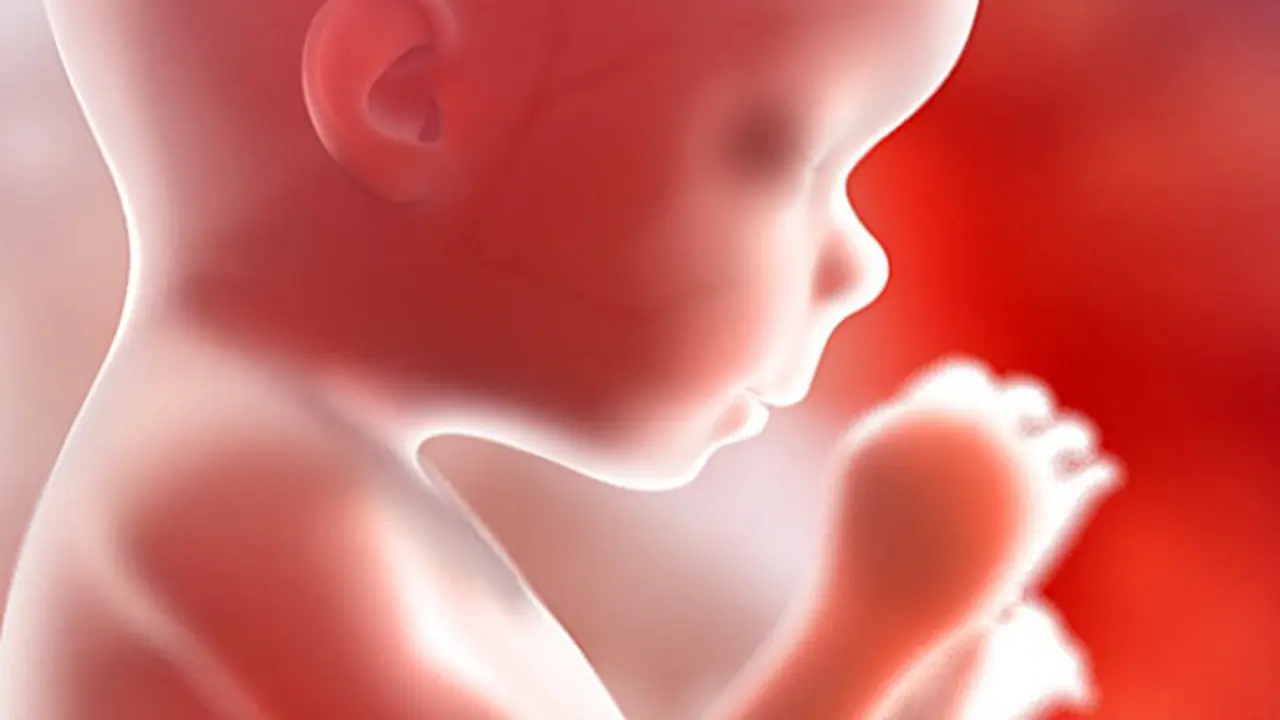 Autisme Tak Bisa Dikenali Sejak Dalam Kandungan