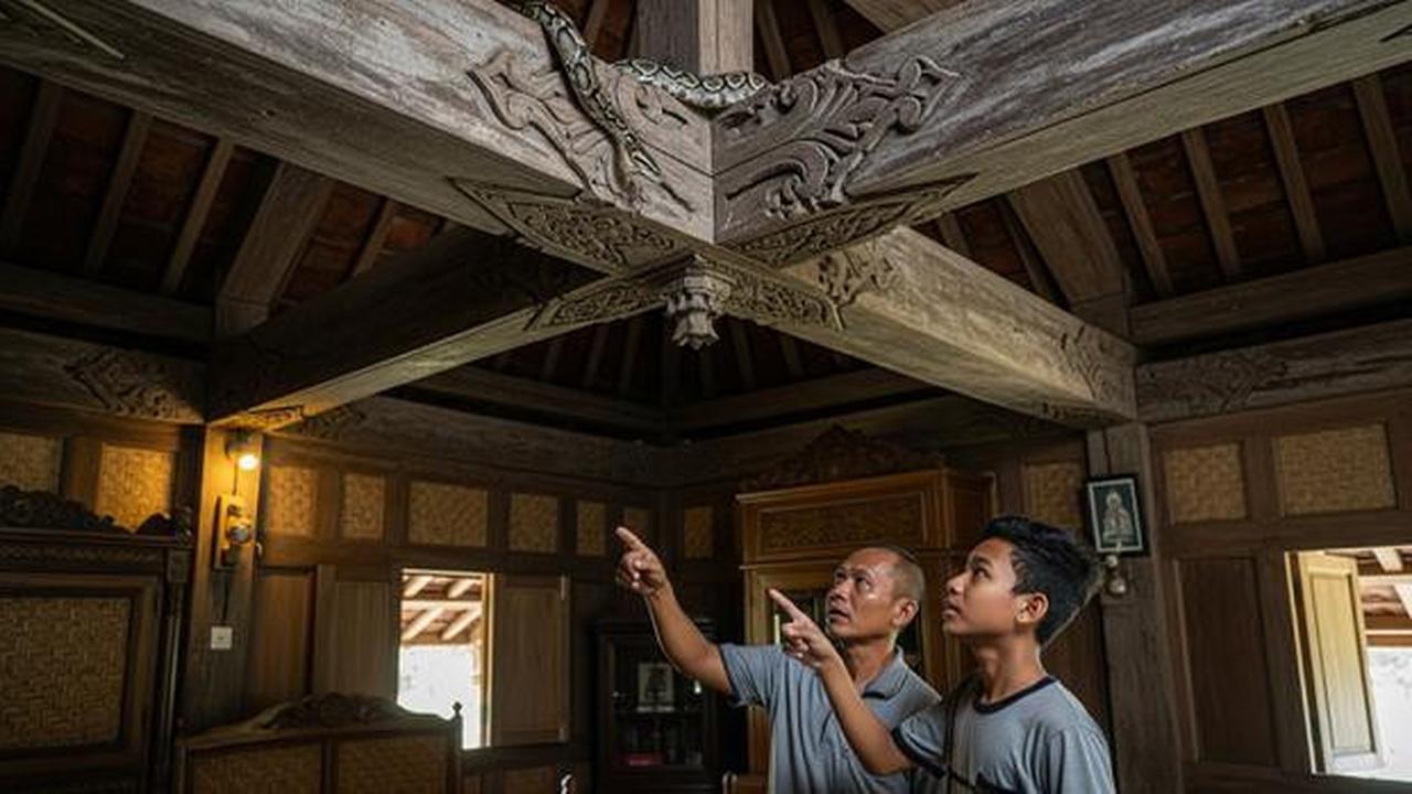 10 Tips Mencegah Ular Masuk ke Atap Rumah atau Plafon Tanpa Harus Bongkar Bangunan