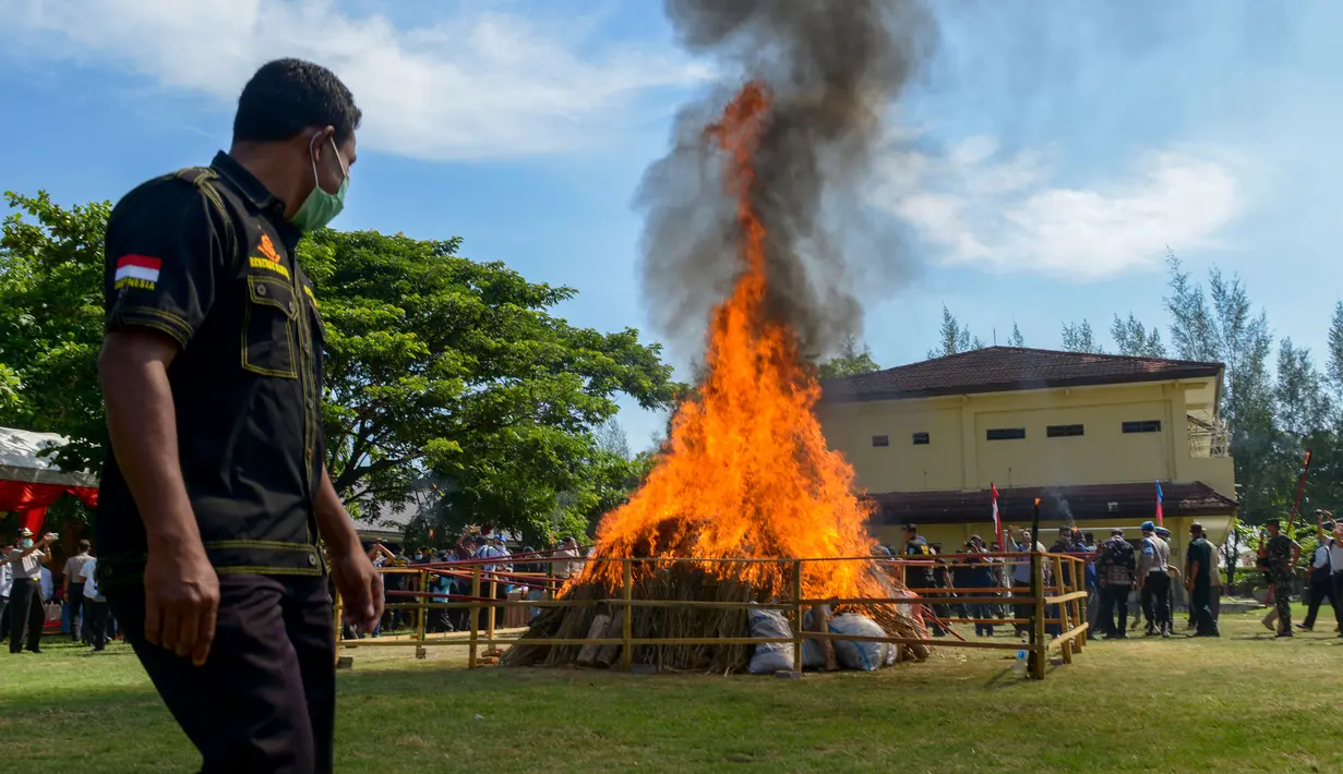 Anggota Kepolisian Aceh melihat pemusnahan ganja 1,8 ton dan 10 kilogram metamfetamin di Mapolda Aceh, Banda Aceh, provinsi Aceh (24/8). Ganja tersebut ditemukan sepanjang tahun 2017. (AFP Photo/Chaideer Mahyuddin)