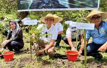 Injourney Airports Gelar Penanaman Ribuan Pohon di Area Bandara Lombok dan Gunung Bongak