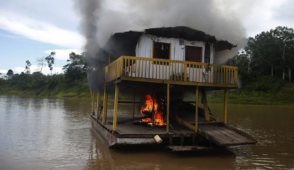 Salah satu tongkang penambang emas ilegal terbakar di Sungai Madeira, Borba, Amazonas, Brasil, 28 November 2021. Institut Lingkungan dan Sumber Daya Alam Terbarukan Brasil membakar lebih dari 60 tongkang untuk menahan penambangan emas ilegal di anak Sungai Amazon. (AP Photo/Edmar Barros)