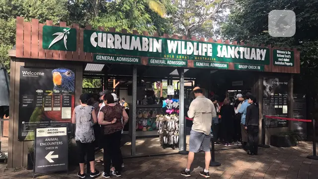 Currumbin Wildlife Sanctuary