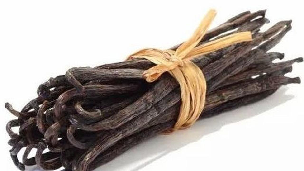 6. Vanili