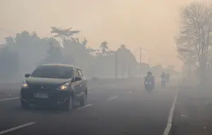 Kalimatan Tercekik Asap Kebakaran Hutan