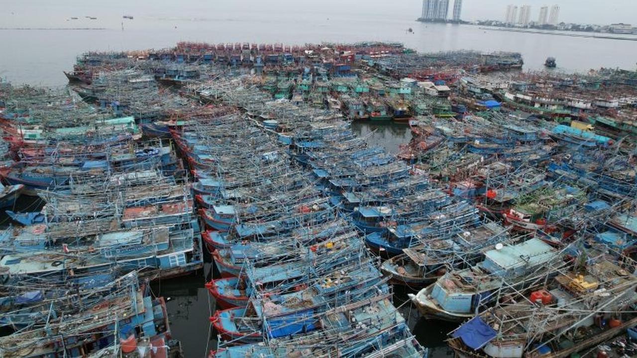 KKP Perkuat Penataan Kapal di Muara Angke Demi Keselamatan dan Kelancaran Perikanan