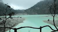 Destinasi wisata Kawah Putih. (Gambar oleh abietams dari Pixabay)