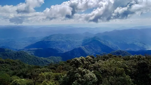 Gunung Phou Louey di Laos