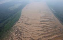 FOTO: Penampakan Air 'Menghilang' dari Anak Sungai Amazon Kala Kekeringan Parah Melanda