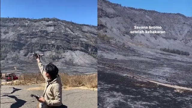 6 Potret Savana Bromo Dilihat Dari Drone Setelah Kebakaran, Tampak Hangus