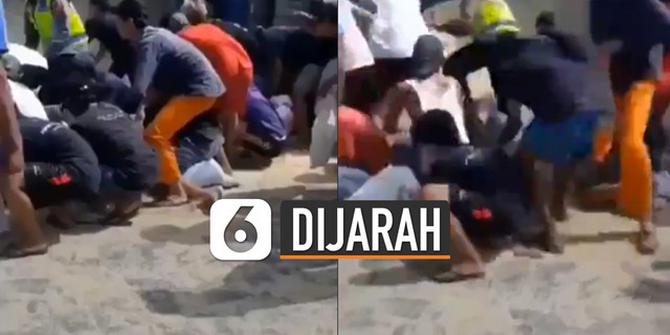 VIDEO: Viral Truk Terguling, Warga Jarah Pakan Ternak dari Truk