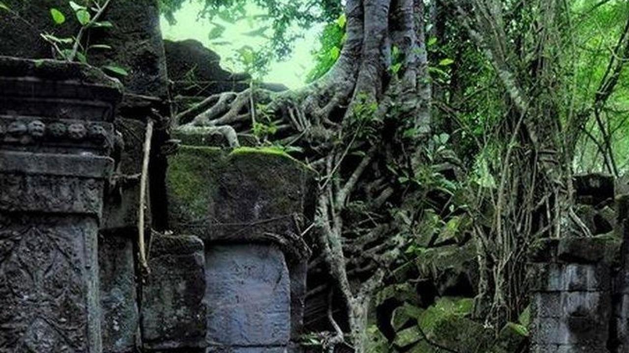 Piring tersebut terletak di  Piring tersebut terletak di dalam sebuah makam sebagai persembahan dan pada piring itu ada gambar roh perlindungan Wahyis yang merupakan entitas gaib dari para elite bangsa Maya.
