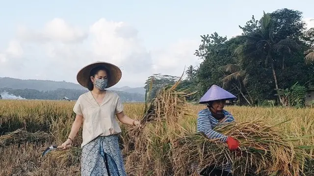 6 Potret Prisia Nasution Panen Padi di Sawah, Tetap Tampil Menawan