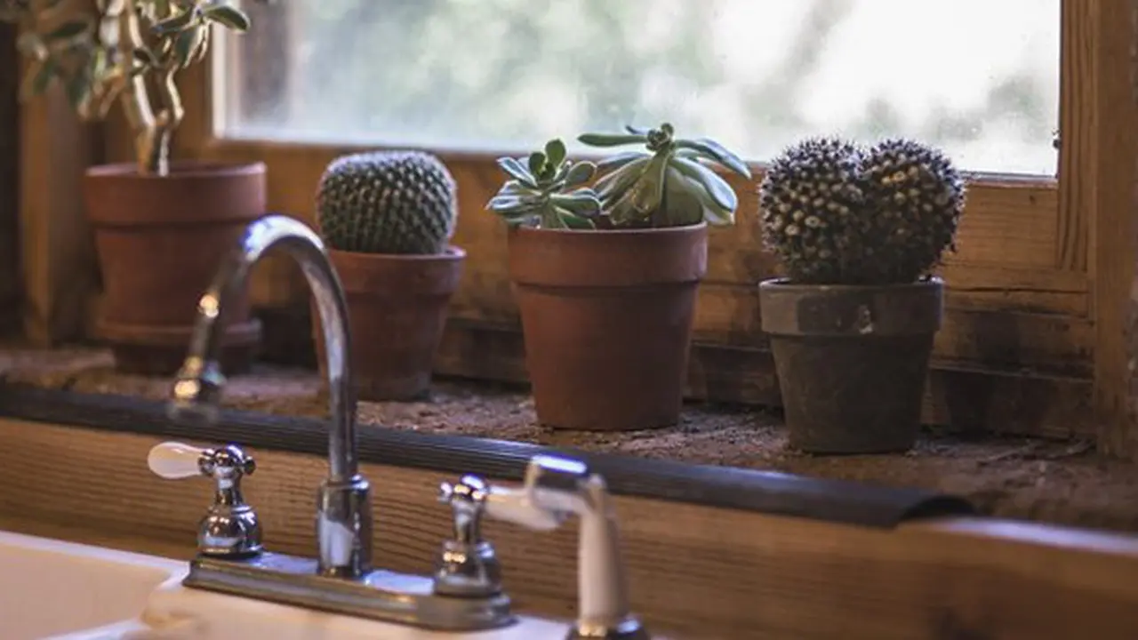 Dapur bebas tikus./Copyright pixabay.com