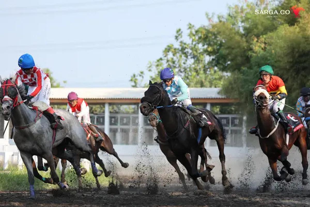 Kuda King Argentin Raih Gelar Triple Crown Indonesia, Akhiri Penantian Selama 20 Tahun