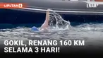 Perenang asal Malta, Neil Agius, memulai aksinya berenang di perairan terbuka sejauh 160 km di sekitar pulau Malta dan Gozo, dengan tujuan untuk memecahkan rekor dunia yang saat ini dipegangnya.