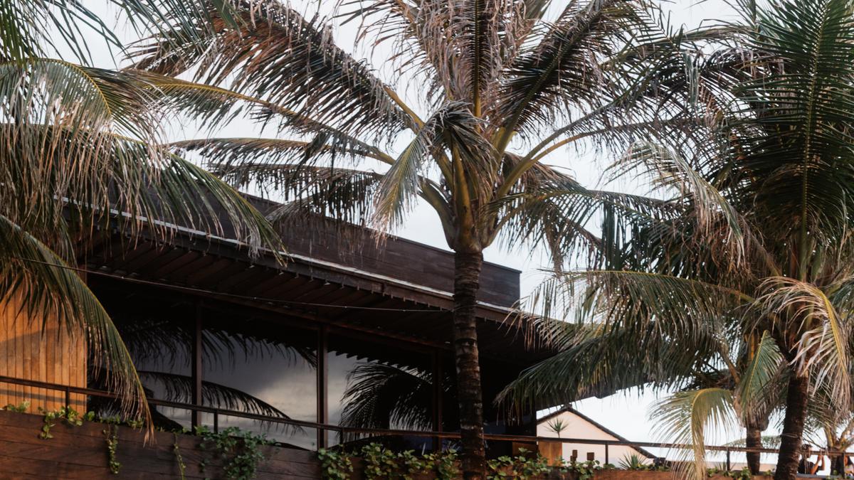 Lacoste Gandeng Perajin Lokal Bali Ciptakan Instalasi Buaya Ikonik dari Daun