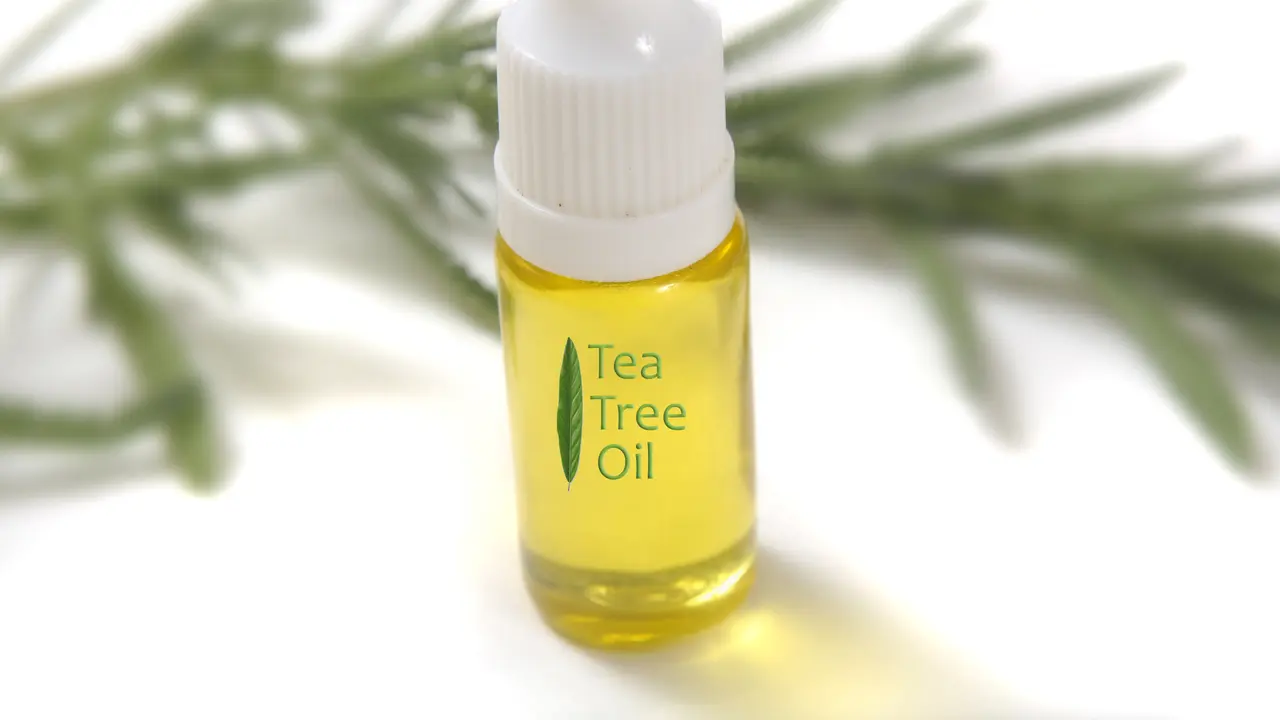 7 Ragam Manfaat Tea Tree Oil