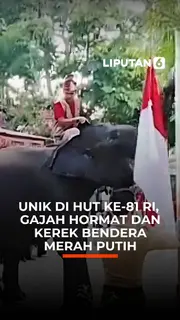 Unik di HUT ke-81 RI, Gajah Hormat dan Kerek Bendera Merah Putih