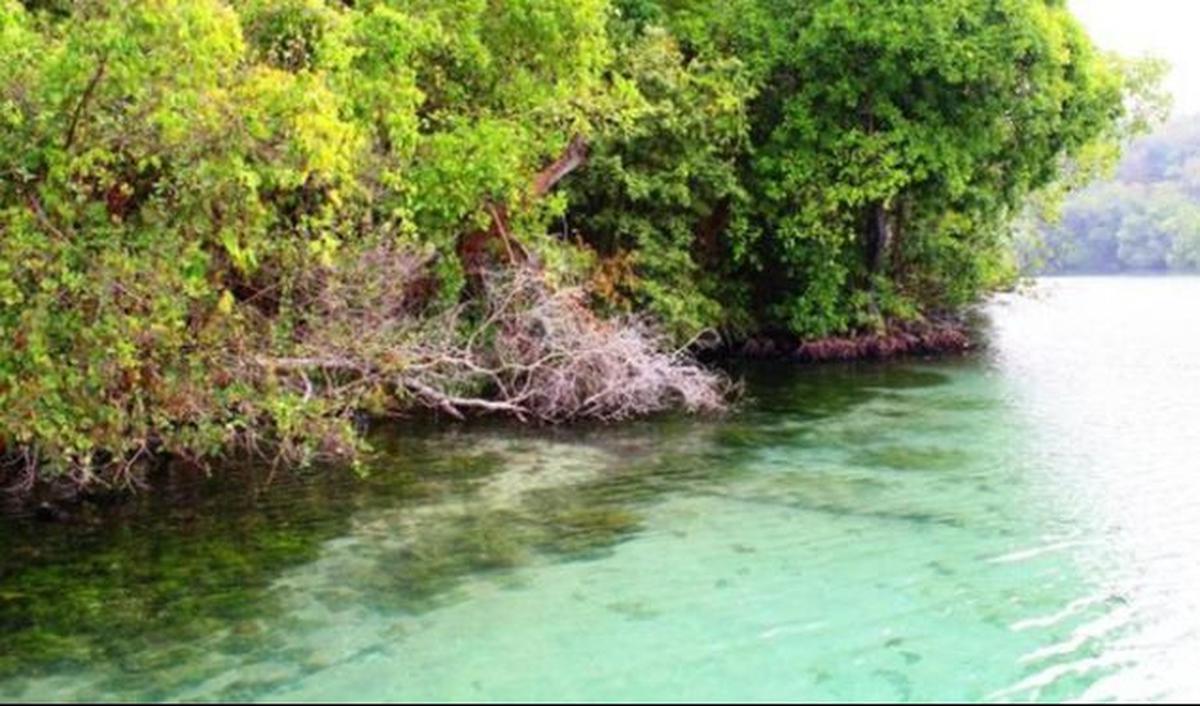 1. Danau Kakaban, Kalimantan Timur